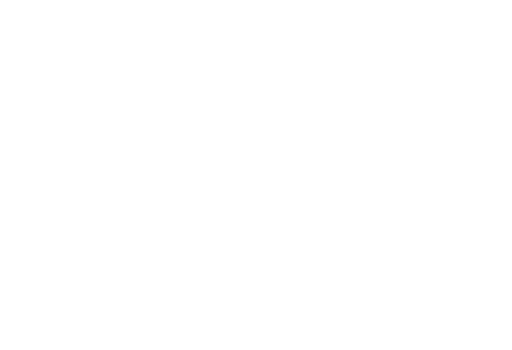 Transportes Nuevo Comienzo — Fletes y Mudanzas